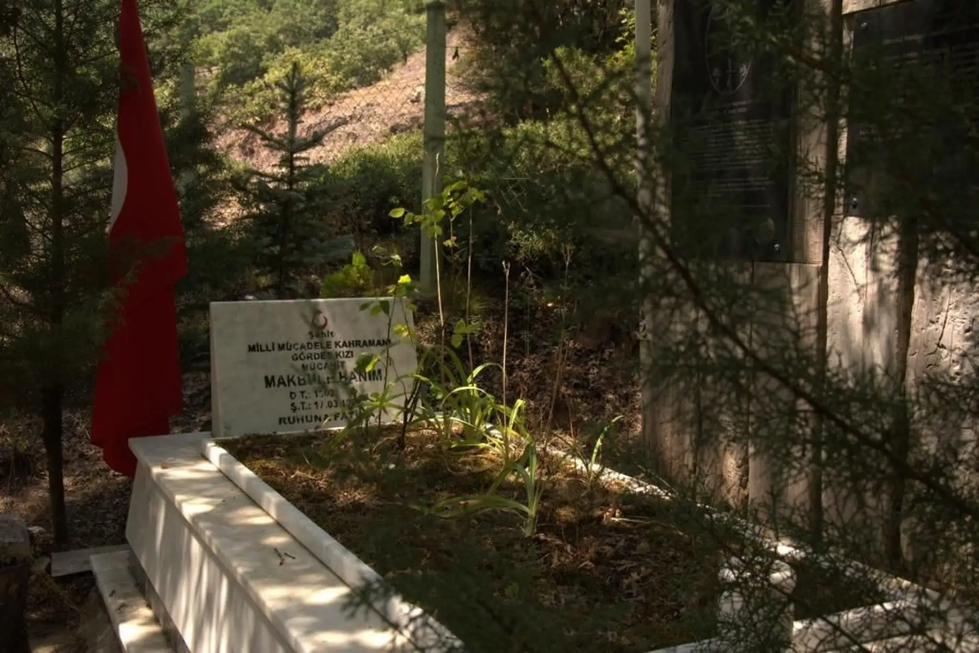 YAZAR DR. SERRA MENEKAY SINDIRGI’DA 